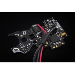 Gate ASTER - Basic (Front Wired)